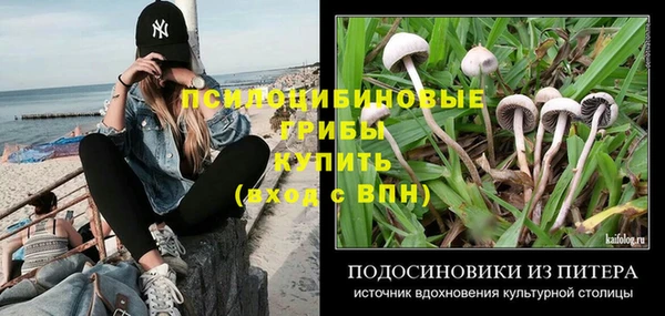 ГАЛЛЮЦИНОГЕННЫЕ ГРИБЫ Абинск