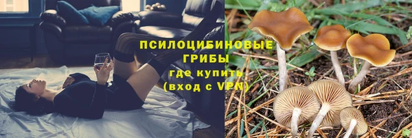 стафф Абаза